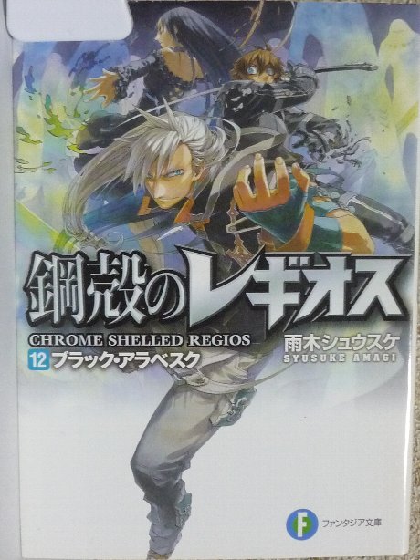 鋼鉄のレギオス１２ 雨木シュウスケ(著)